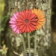 Load image into Gallery viewer, DIY Wooden Flowers
