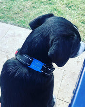 Load image into Gallery viewer, Personalized Pet ID Tag
