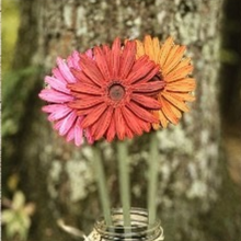 Load image into Gallery viewer, DIY Wooden Flowers
